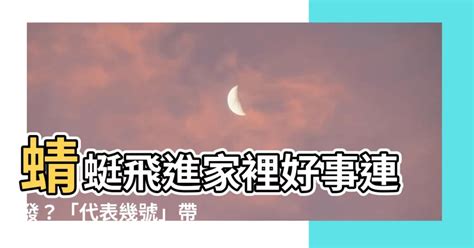 蜻蜓跑進家裡